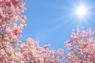 COCCOLE DI PRIMAVERA PER LE ZONE "NASCOSTE"